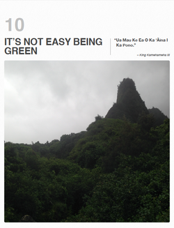 10 - IT'S NOT EASY BEING GREEN